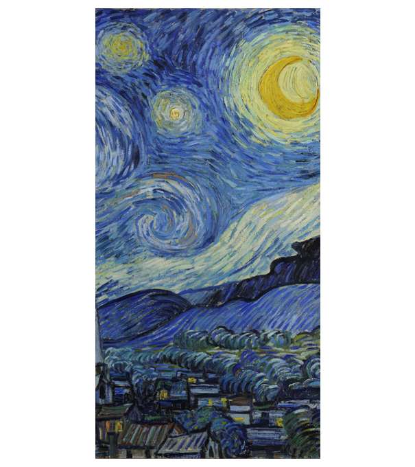Van Gogh Starry night model alb pe tricou