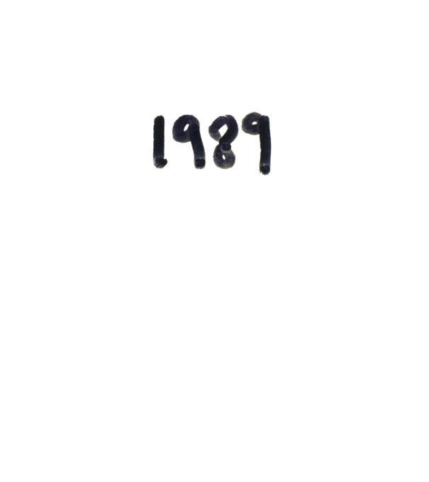 Taylor Swift 1989 text model alb pe tricou