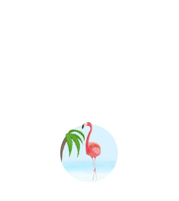 Flamingo model alb pe tricou