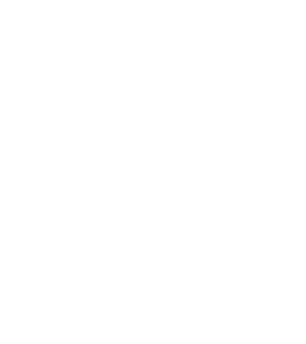 LOVE Beagle model gri pe tricou