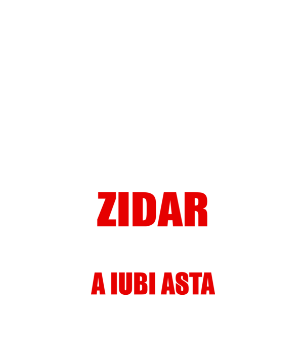 Sunt suficient de priceput pentru a fi ZIDAR și suficient de nebun pentru a iubi asta model negru pe tricou