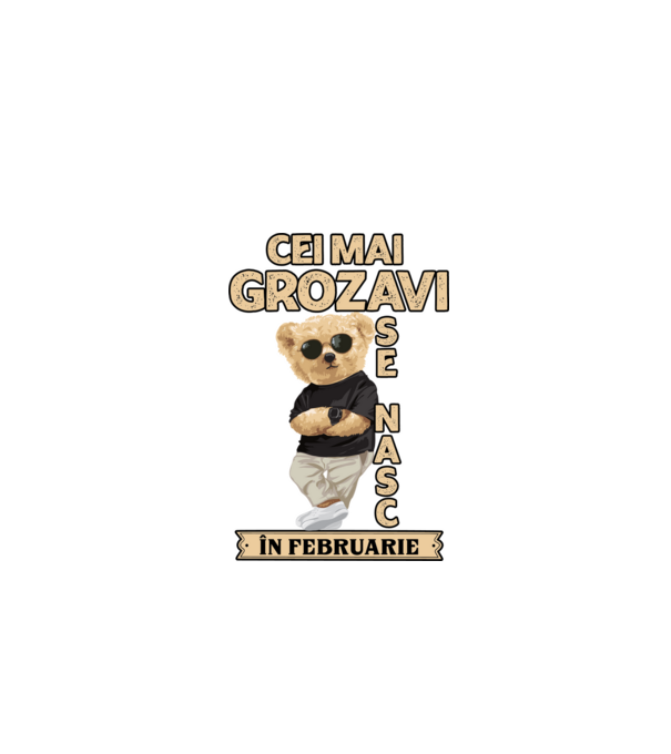 Teddy cel cool februarie model negru pe tricou