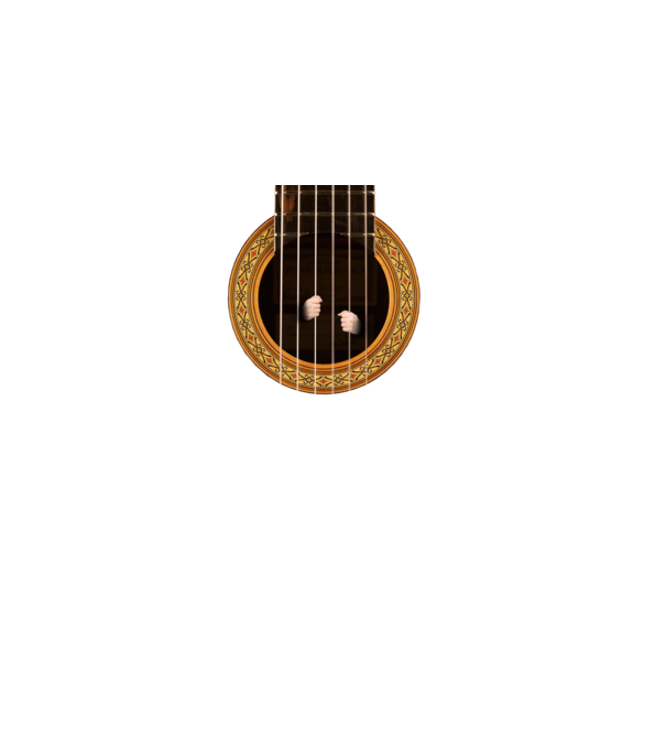 Guitar prison model negru pe tricou