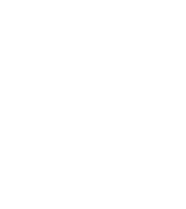 Box evolution model negru pe tricou