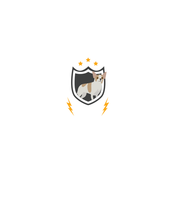 serviciu de securitate - securitate - persistență - 24 de ore pe zi model negru pe tricou