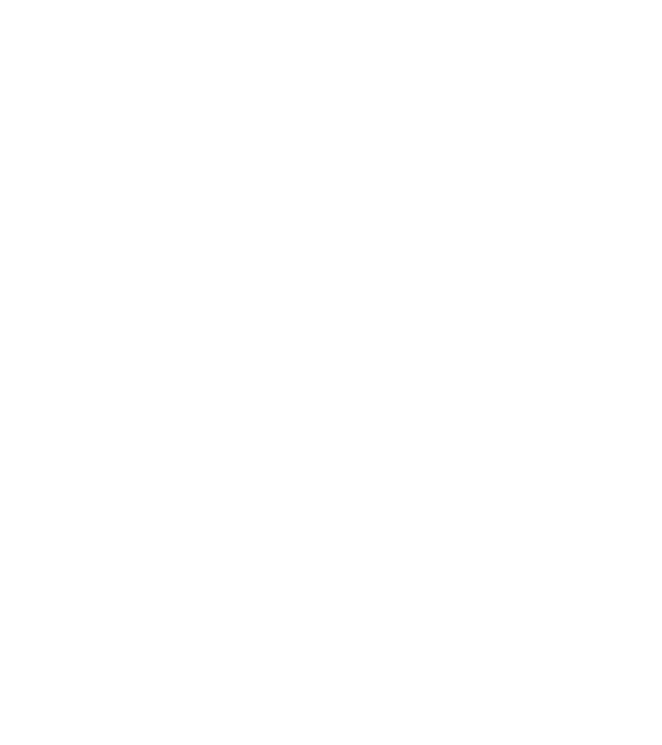 Camion 2. model albastru deschis pe tricou