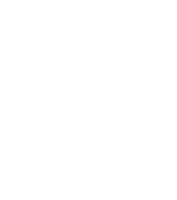 All men are created equal but only the best are born in november model negru pe tricou