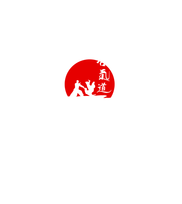 Aikido model gri pe tricou