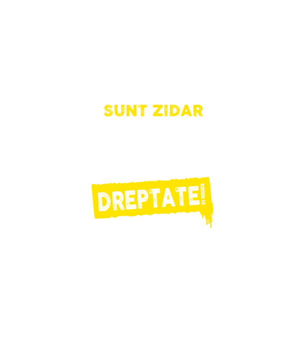 Sunt zidar, pentru a economisi timp, să reținem că am întotdeauna dreptate! model turcoaz pe tricou
