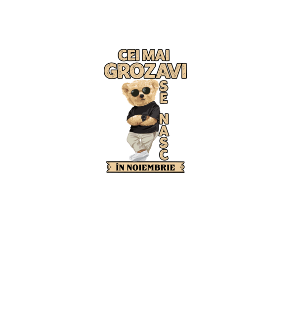 Teddy cel cool noiembrie model negru pe tricou