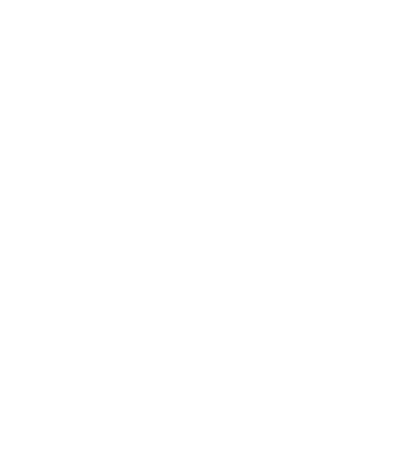 Freedom model gri pe tricou