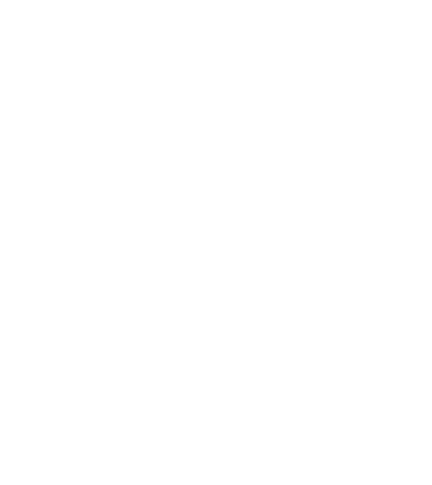 Tâmplarul model gri închis pe tricou