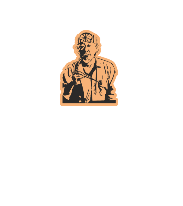Mister miyagi cobra kai model alb pe tricou