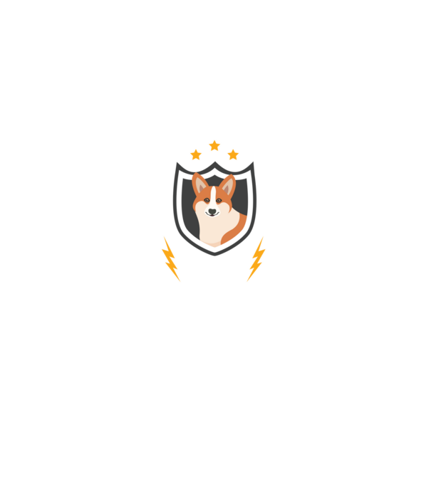 serviciu de securitate - securitate - persistență - 24 de ore pe zi model negru pe tricou