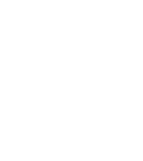 Zugravul model negru pe tricou