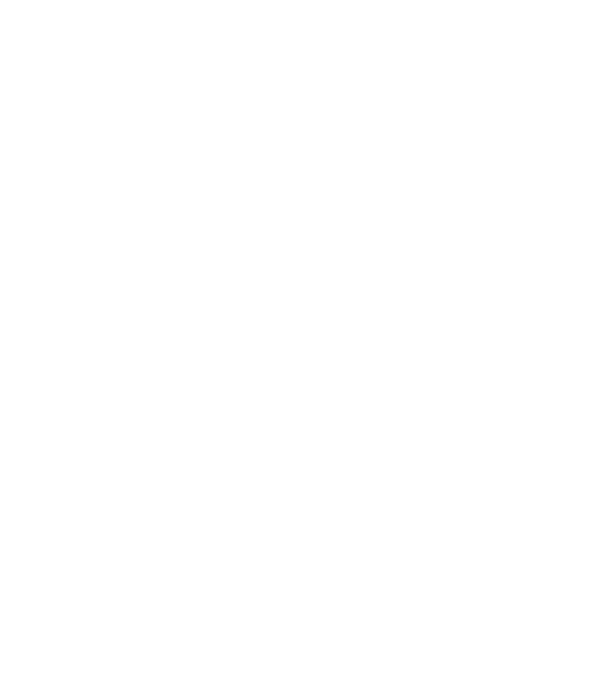 România made in model negru pe tricou