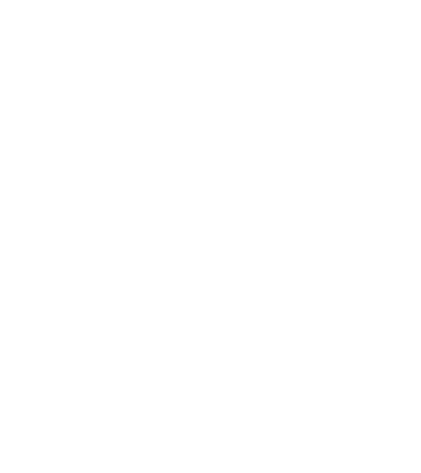 The Lord Of The Drinks model gri pe tricou