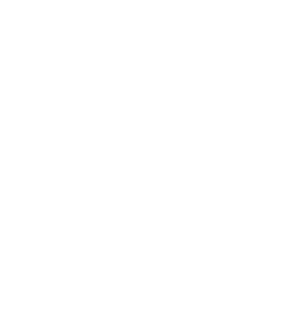 LOVE Havanese model negru pe tricou