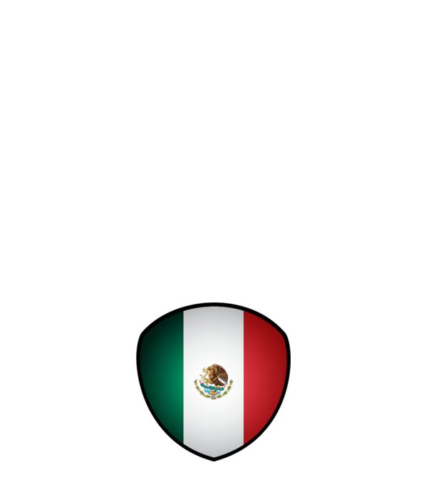 MEX-jabulani-flag model roz deschis pe tricou