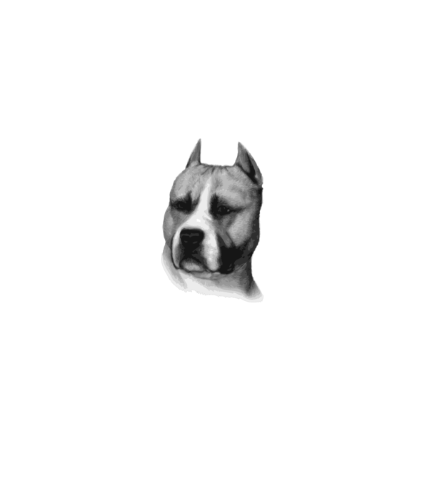 Staffordshire Terrier model alb pe tricou