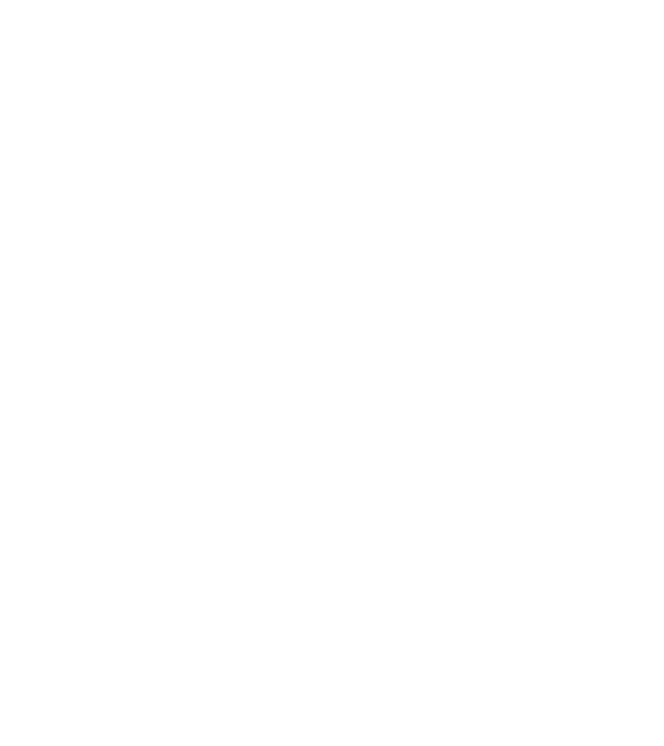 W.I.F.E. model negru pe tricou