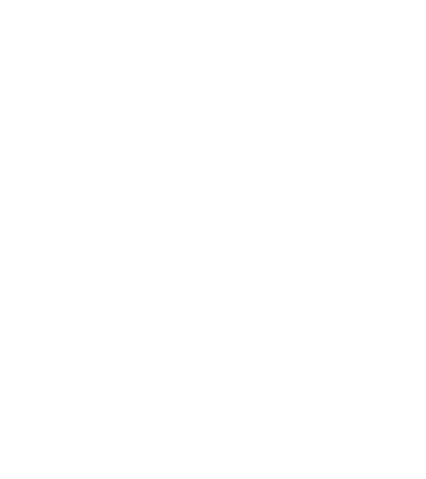 All men are created equal but only the best are born in february model negru pe tricou