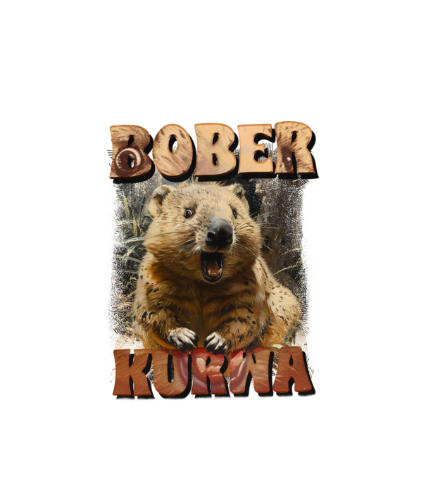 BOBER wombat model alb pe tricou