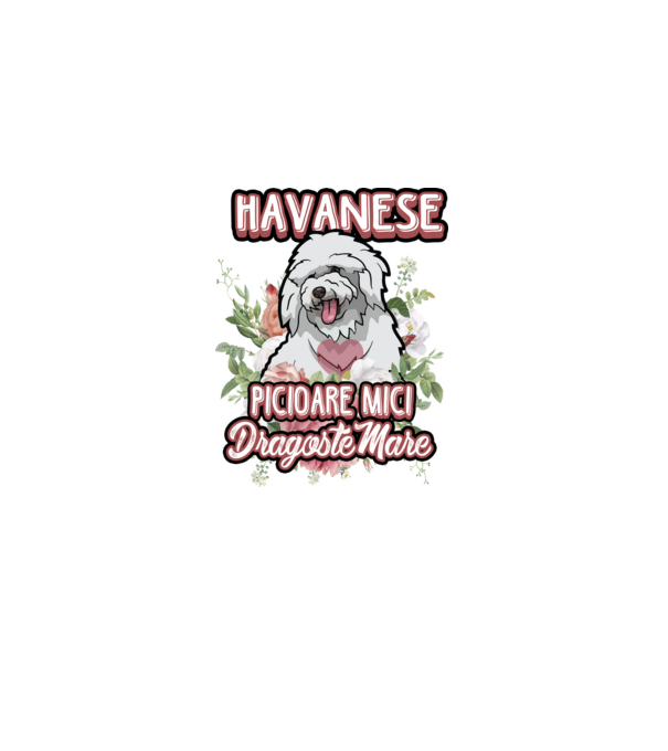 havanese : picioare mici dragoste mare model alb pe tricou