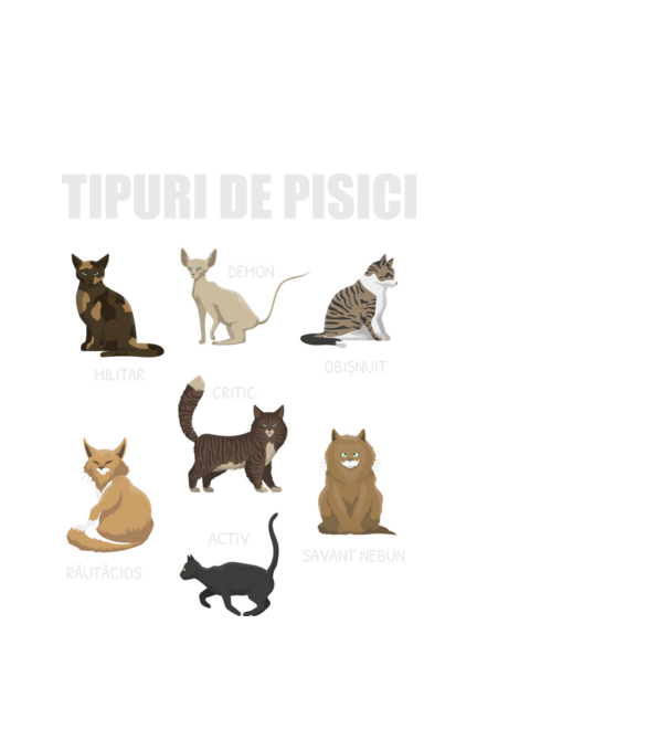 Tipuri de pisici model alb pe tricou
