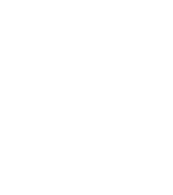 chitară evolution model negru pe tricou