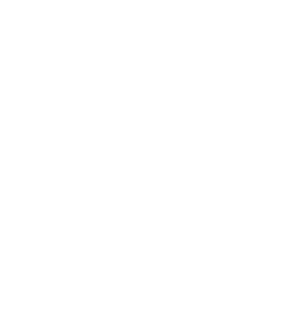Mr 2 model negru pe tricou