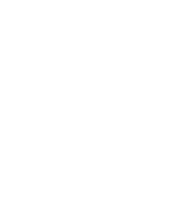 Walking dad model gri pe tricou