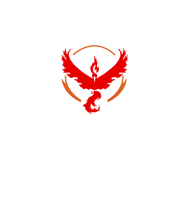 Valor team logo model alb pe tricou