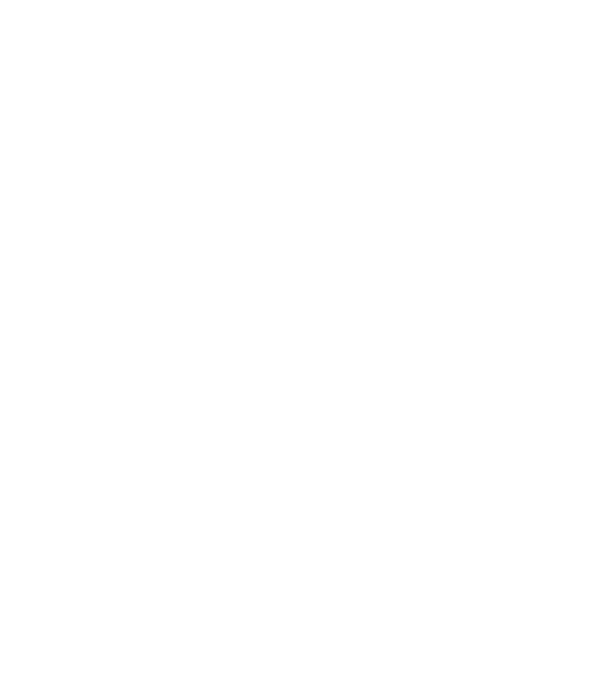 I love dogs model galben neon pe tricou