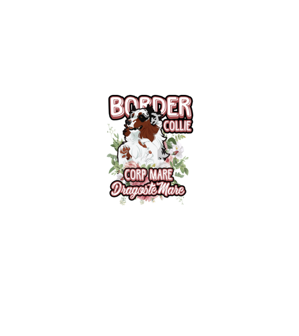 border collie - multă blană multă dragoste model alb pe tricou