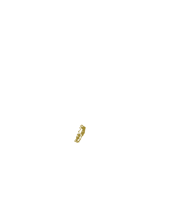 King in the north 2c model albastru închis pe tricou