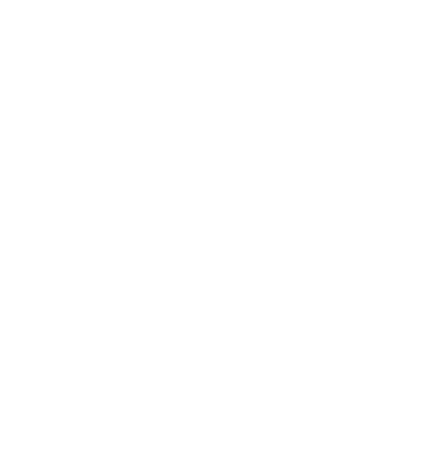 Queens are born in - December model gri pe tricou