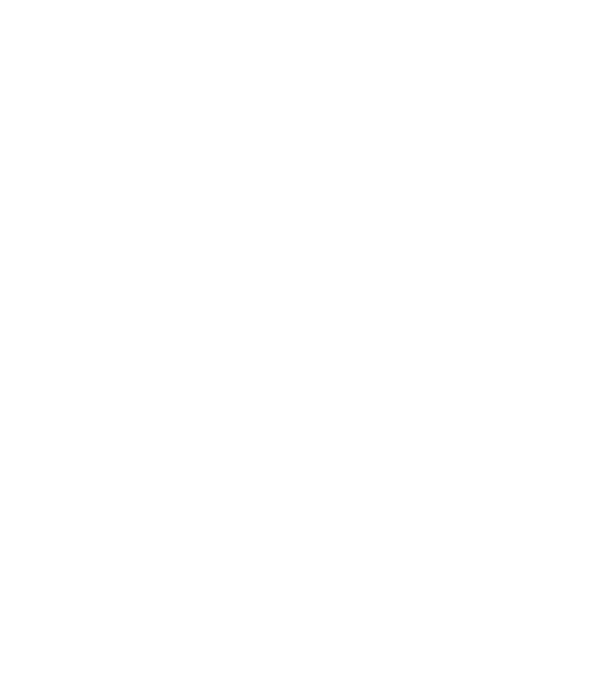 Regele - ceaunului! model negru pe tricou