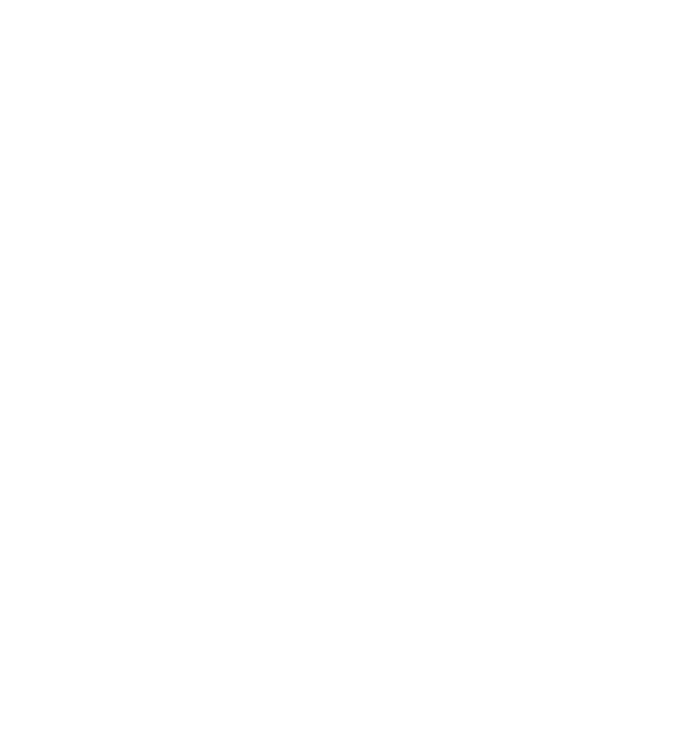 Mrs 2 model negru pe tricou