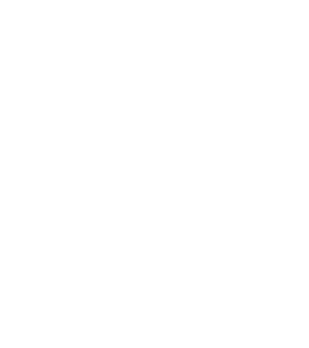 I do my own stunts model albastru închis pe tricou
