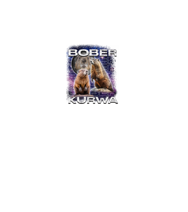 Bóber Kurwa universe model gri pe tricou