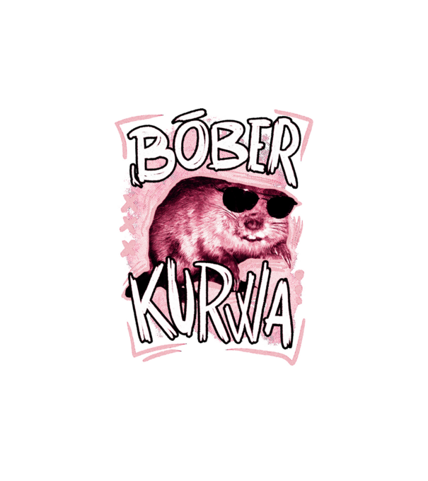 Bóber wtf model alb pe tricou