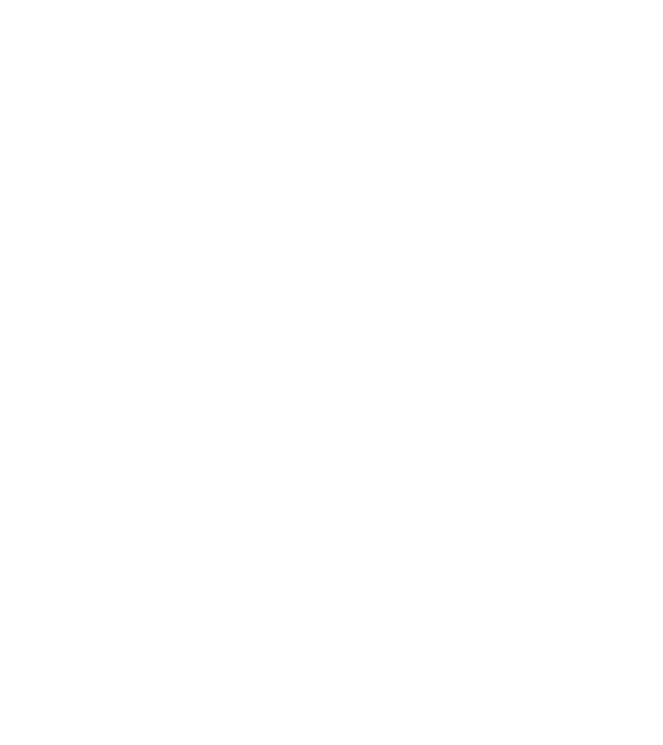 Bug fixed model negru pe tricou