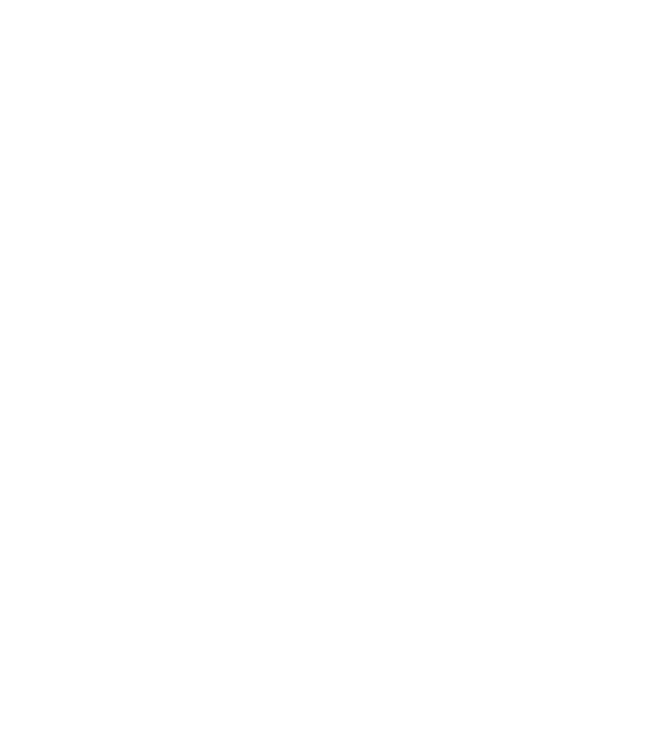Așa arată un stăpân de Vijla foarte chipeș model negru pe tricou