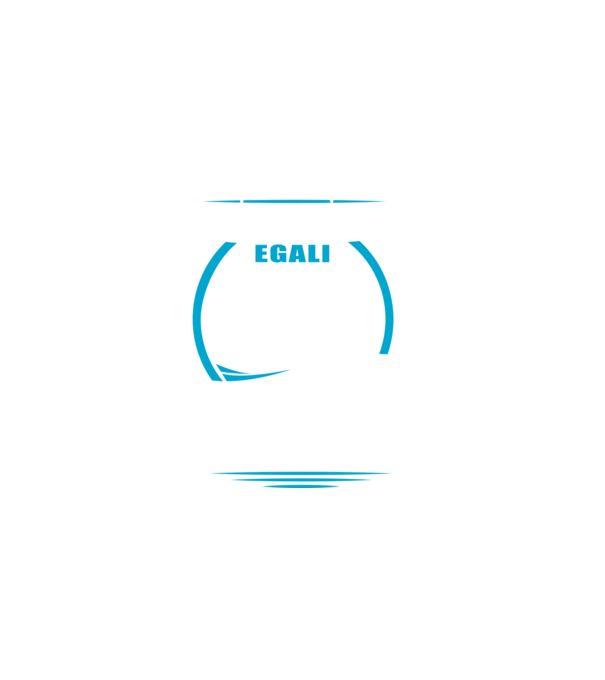 Toți bărbații se nasc egali camioane model negru pe tricou