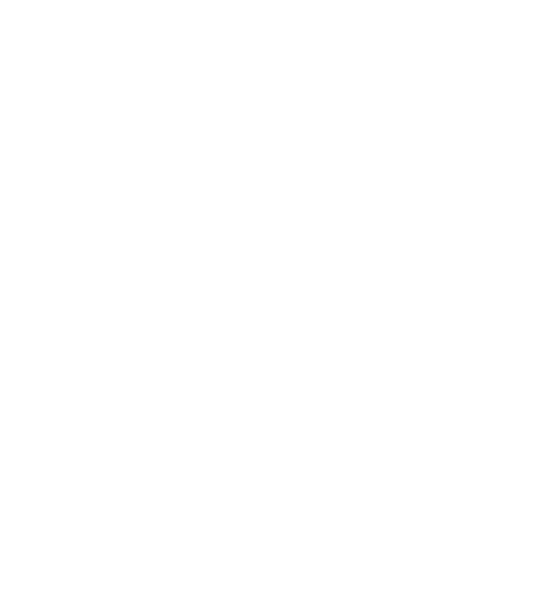 All men are created equal but only the best are born in november model negru pe tricou