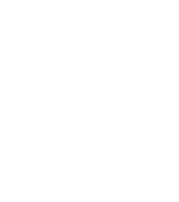 demodog logo model alb pe tricou