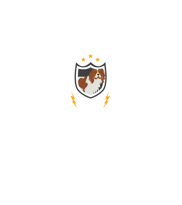 serviciu de securitate - securitate - persistență - 24 de ore pe zi model negru pe tricou