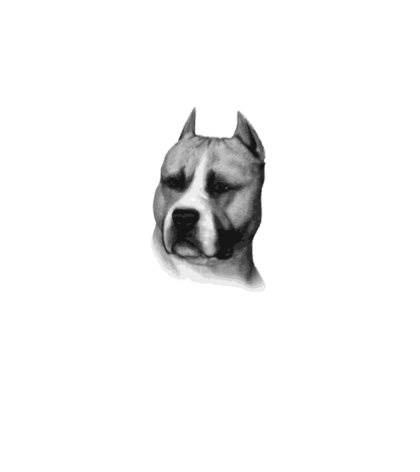 Staffordshire Terrier model alb pe tricou