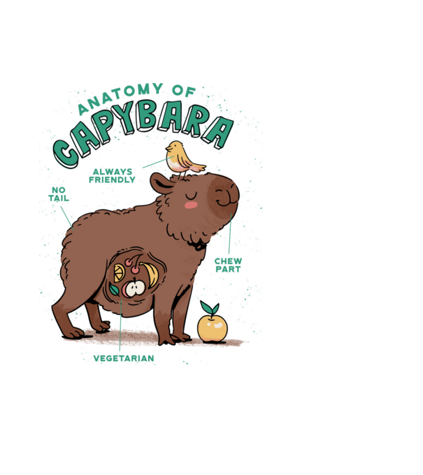 Anatomy of Capybara model negru pe tricou